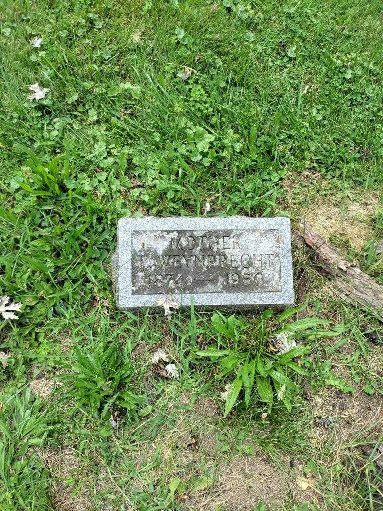 Theresa Weynprecht's grave. Photo 2