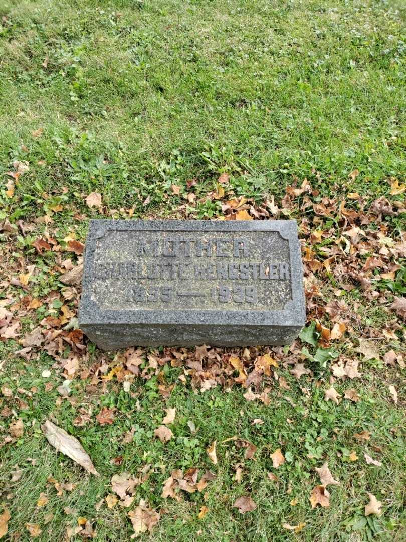 Charlotte Hengstler's grave. Photo 2