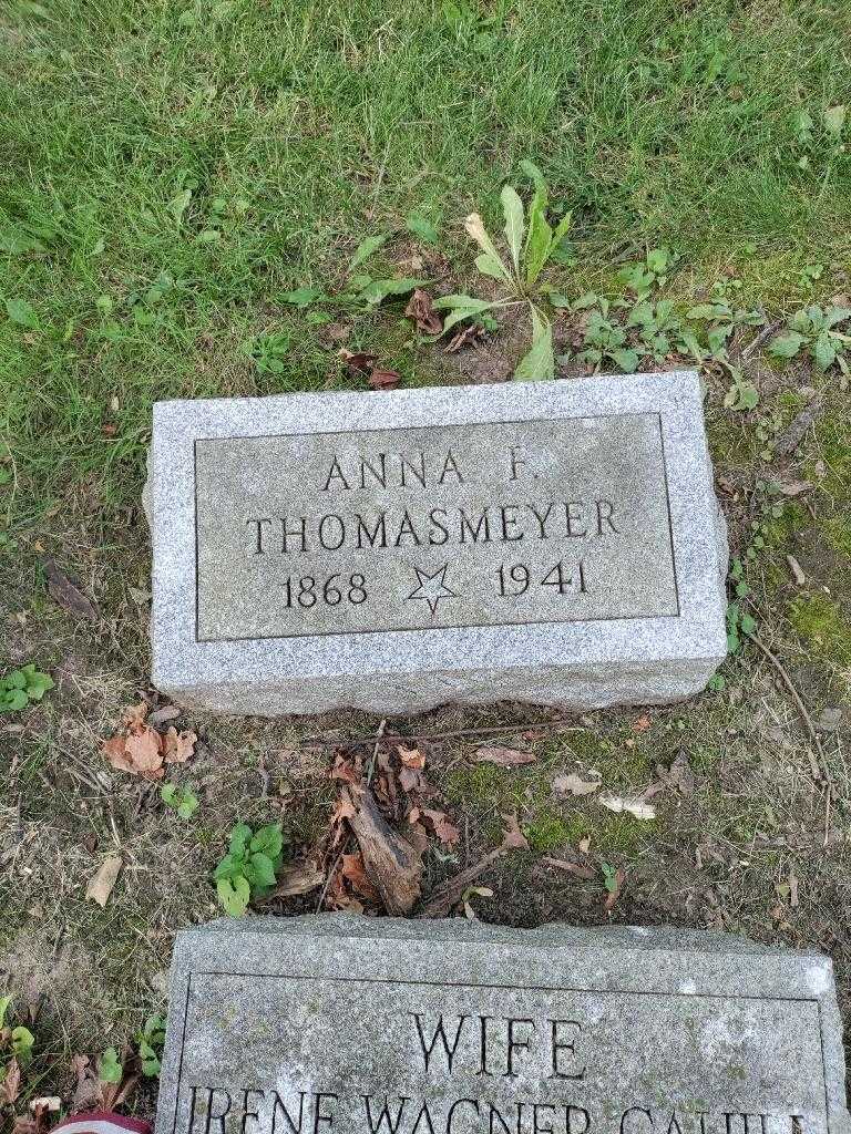 Anna F. Thomasmeyer's grave. Photo 2