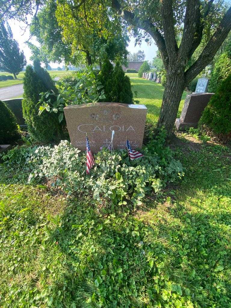Libert J. Caloia's grave. Photo 1