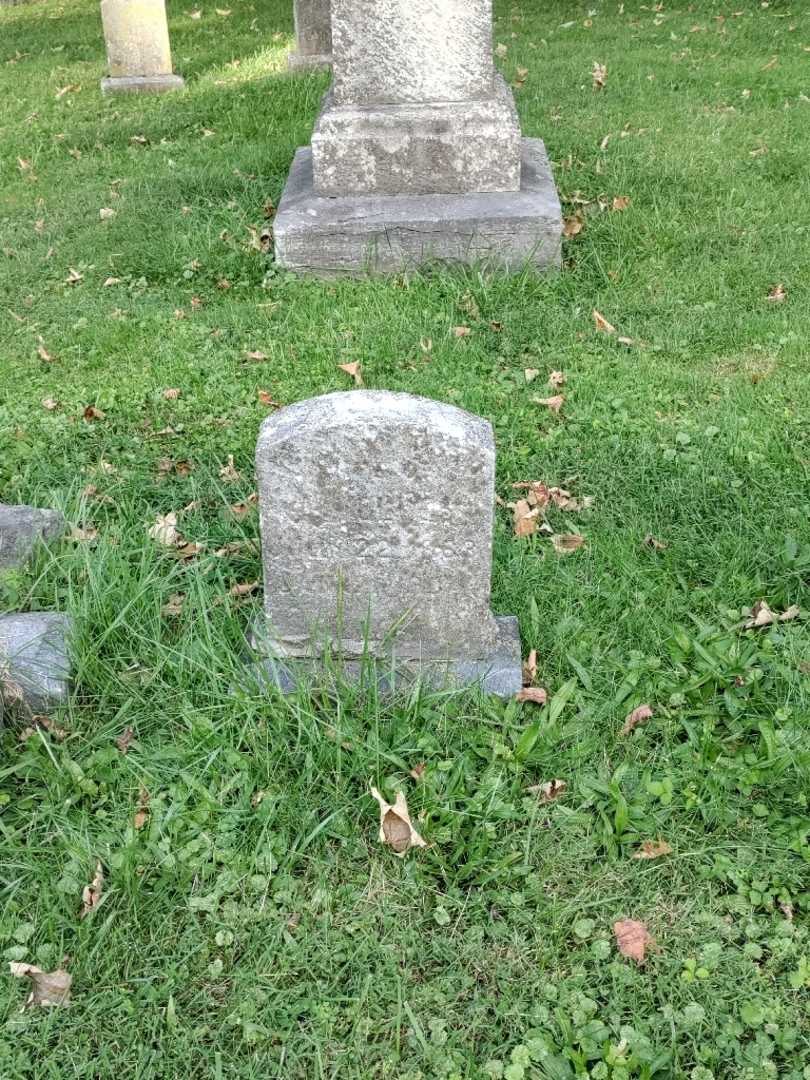 Adam Volles's grave. Photo 2