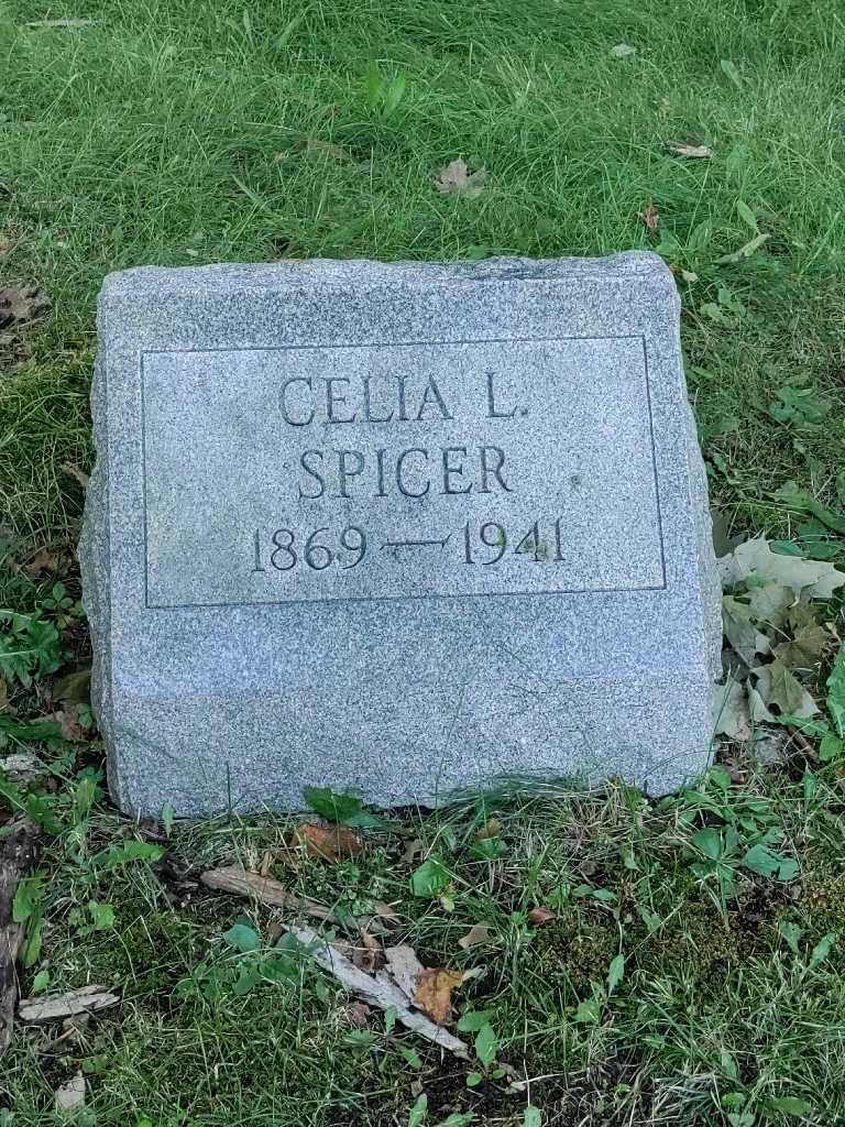 Celia L. Spicer's grave. Photo 3