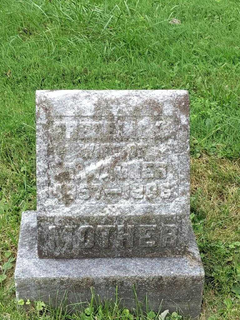 Fredericka Wagner's grave. Photo 3