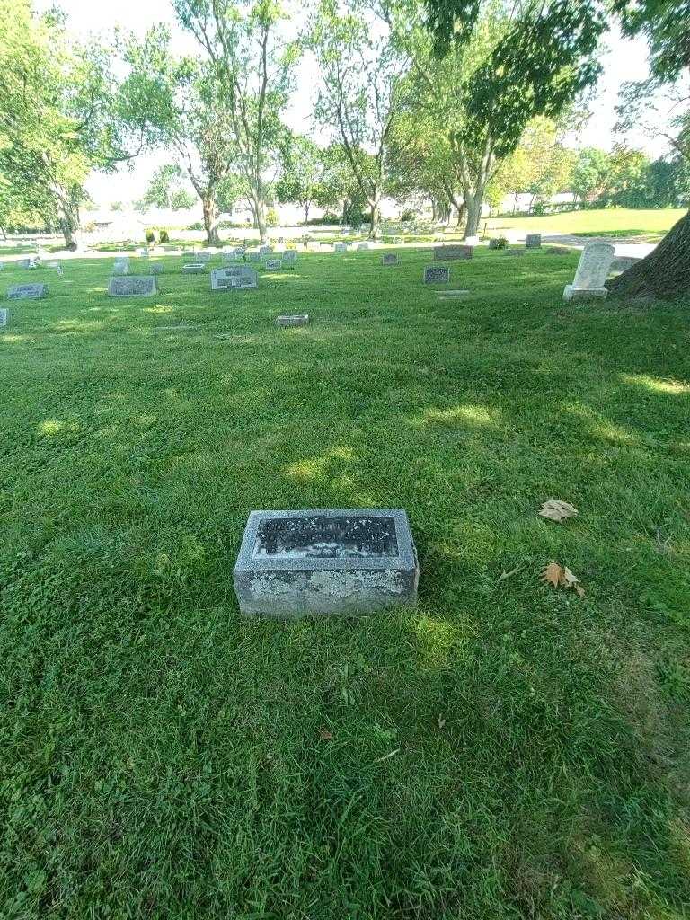 Frederick Johnson's grave. Photo 1