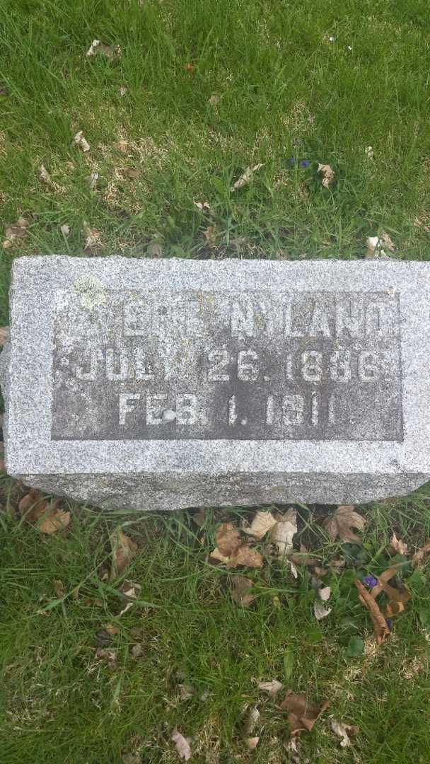 Evert Nyland's grave. Photo 3
