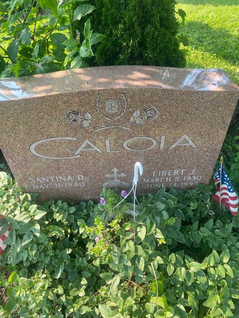 Libert J. Caloia's grave. Photo 3