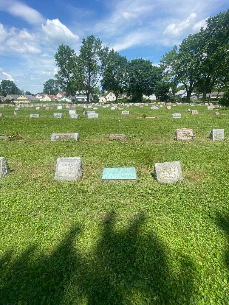 Charles H. Dils's grave. Photo 1