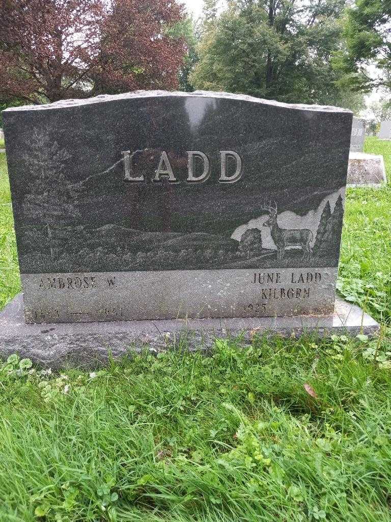 Ambrose W. Ladd's grave. Photo 1