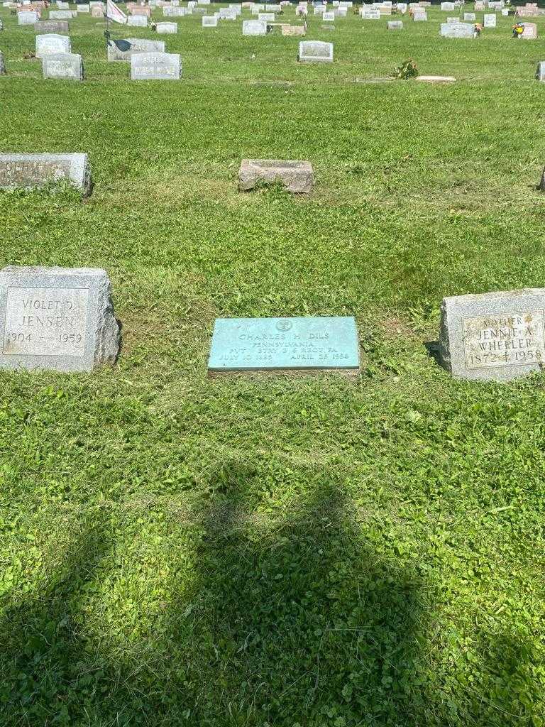 Charles H. Dils's grave. Photo 2