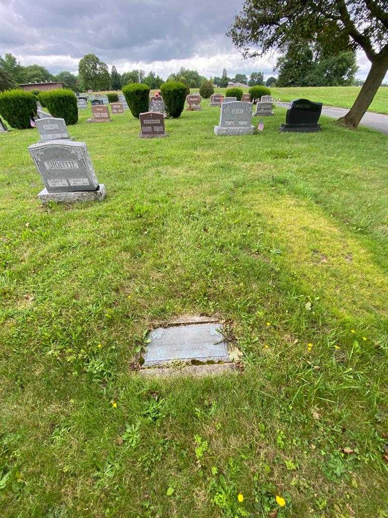 Wanda E. Williams's grave. Photo 1
