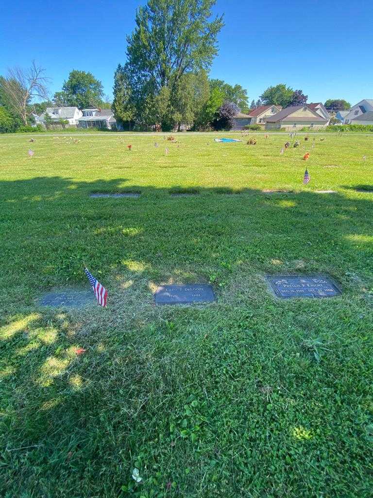 Cleo T. DeLooze's grave. Photo 1