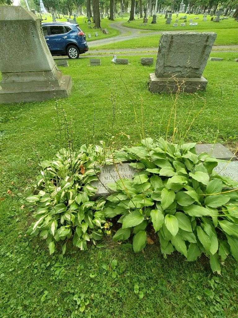 Althea Fellows Moreland's grave. Photo 1