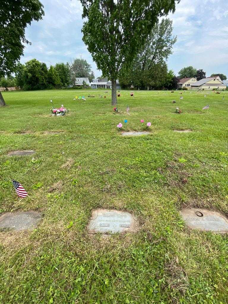 Samuel Lewis's grave. Photo 1