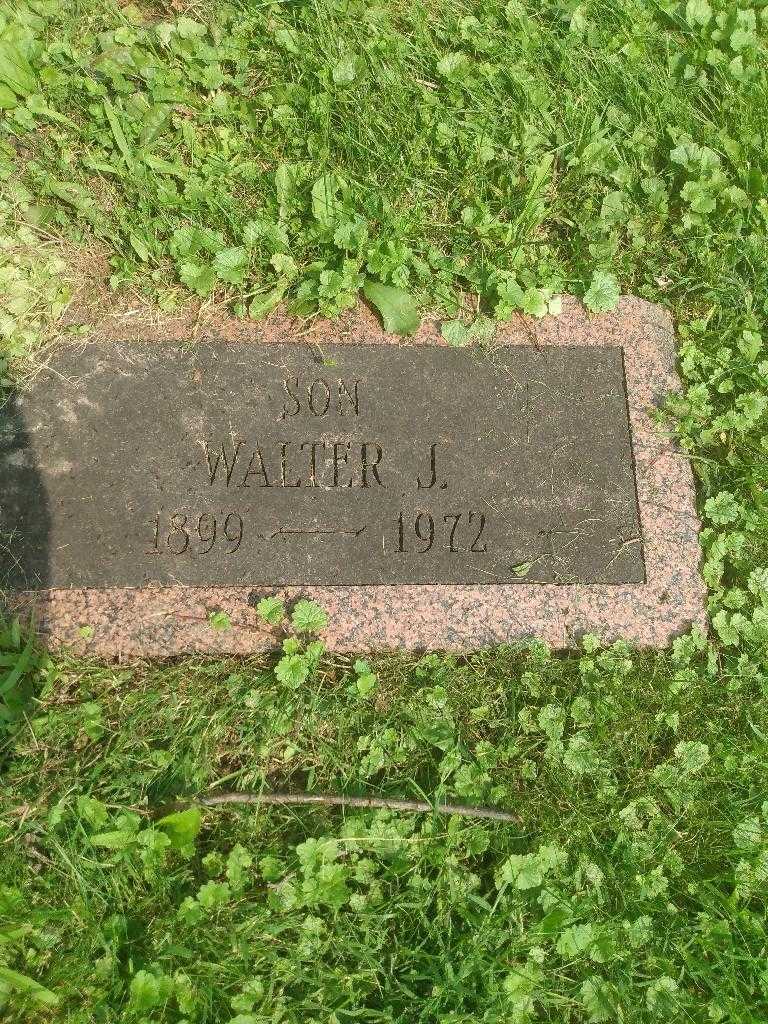 Walter J. Naumann's grave. Photo 2