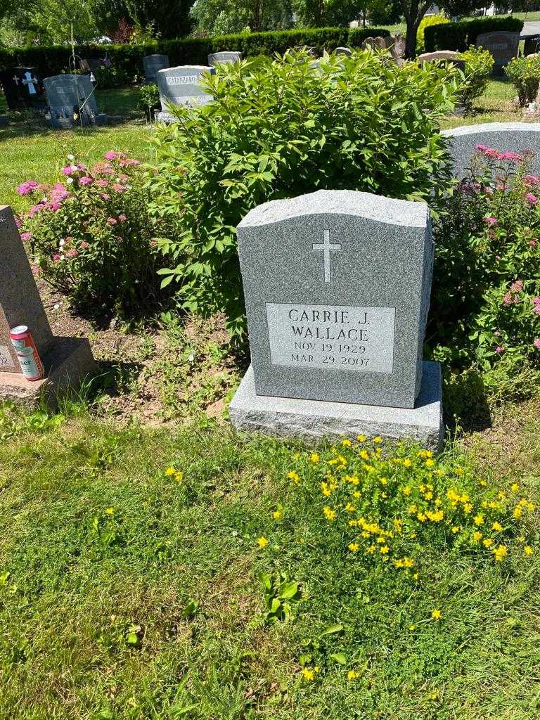 Carrie J. Wallace's grave. Photo 2