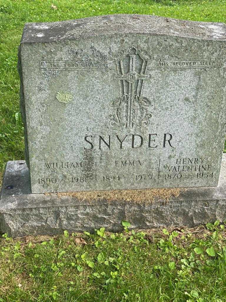 William Snyder's grave. Photo 3