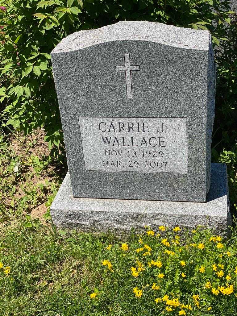 Carrie J. Wallace's grave. Photo 3