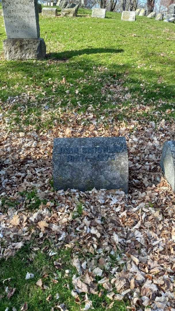 John Smingler's grave. Photo 2