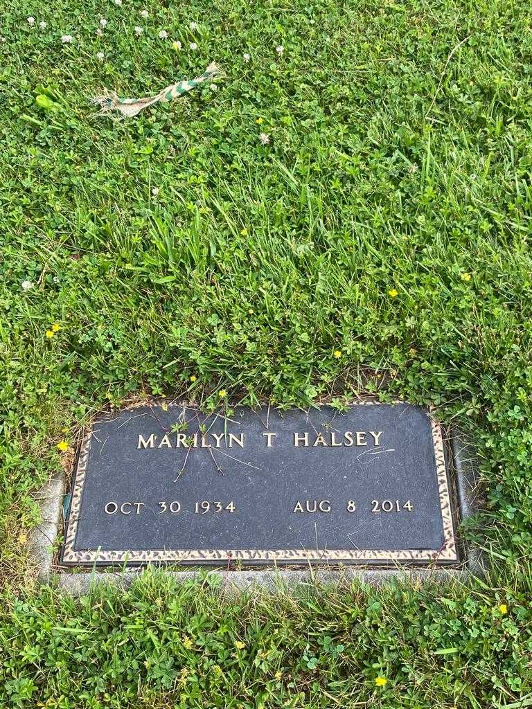 Marilyn T. Halsey's grave. Photo 3