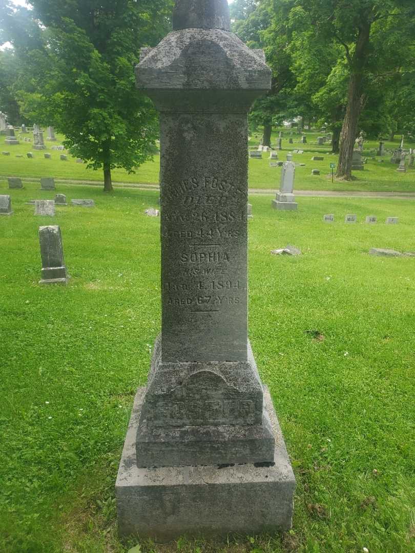 Sophia Foster's grave. Photo 3