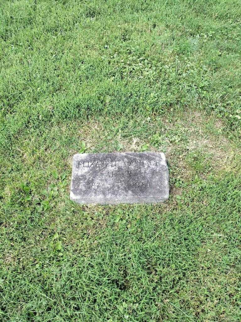 Elizabeth Wallace Alger's grave. Photo 3