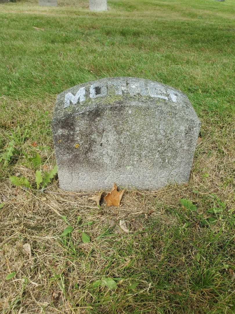 William Wiegand's grave. Photo 2