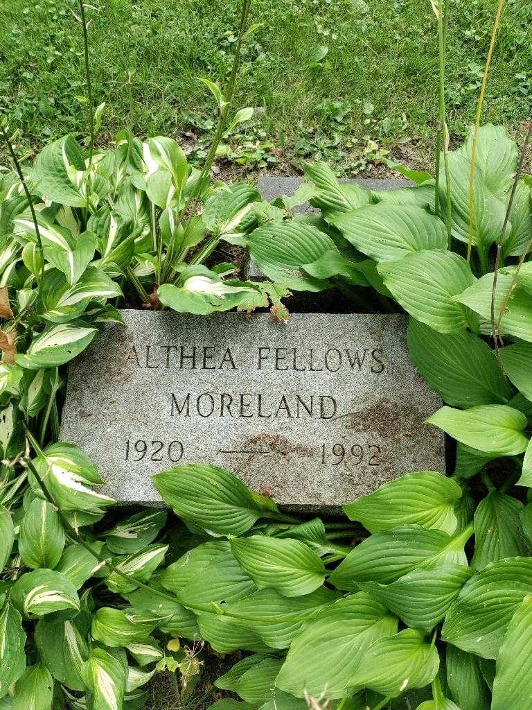 Althea Fellows Moreland's grave. Photo 3