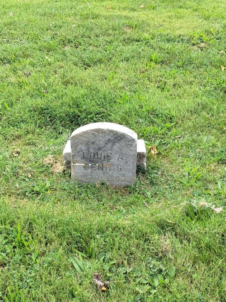 Louie A. Geniac's grave. Photo 2