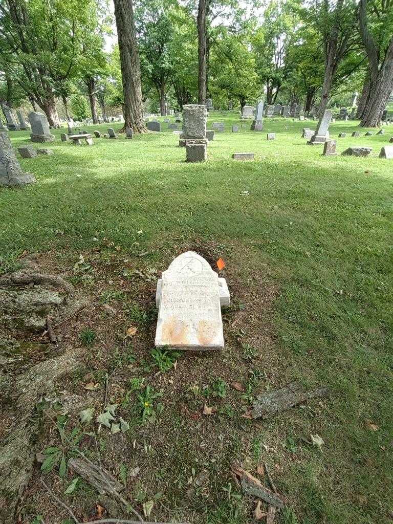 William Augustus Rapp's grave. Photo 1