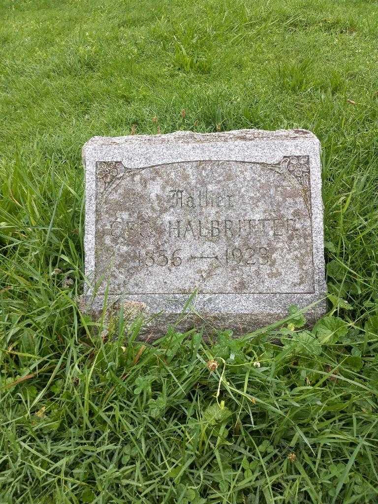 George Halbritter's grave. Photo 2