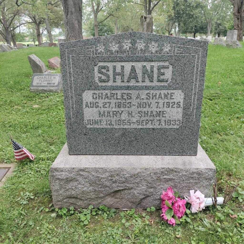 Charles A. Shane's grave. Photo 2