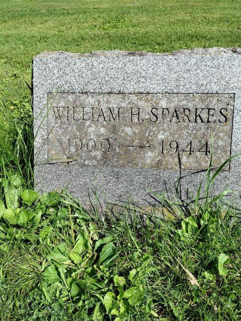 William H. Sparkes's grave. Photo 3