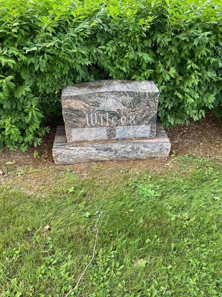 Ronald H. Wilcox's grave. Photo 2