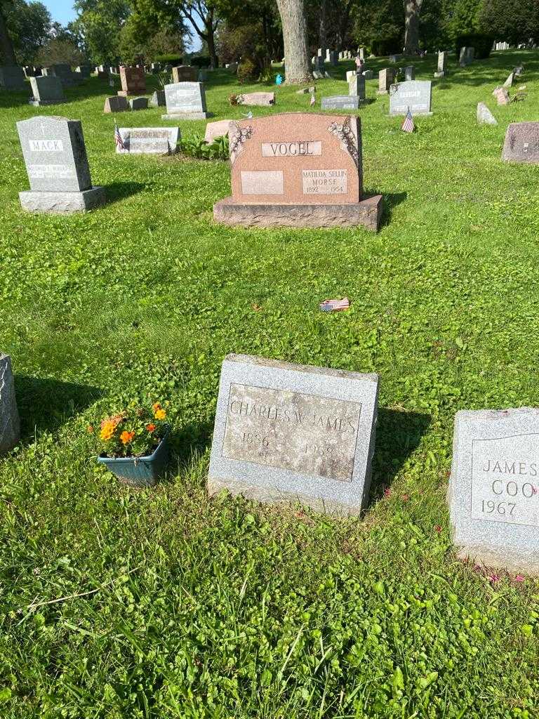 Charles W. James's grave. Photo 2