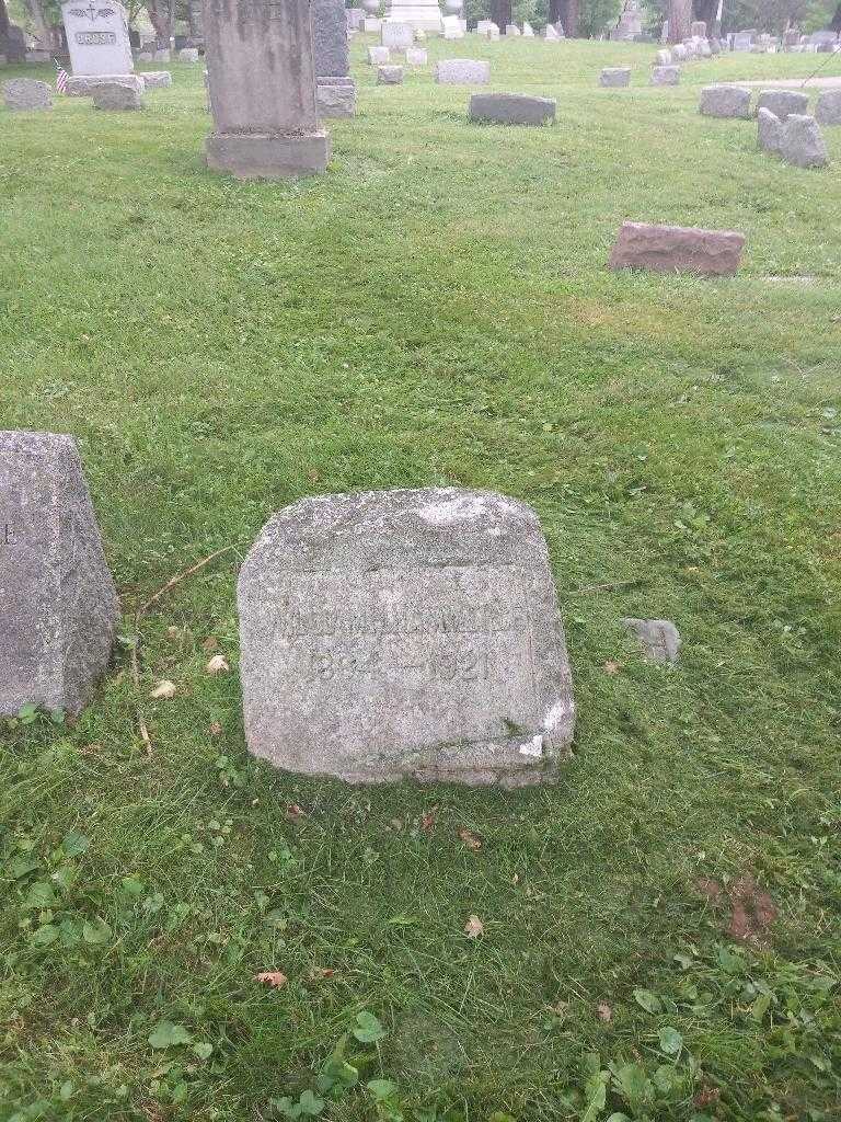 William H. Hammerle's grave. Photo 1