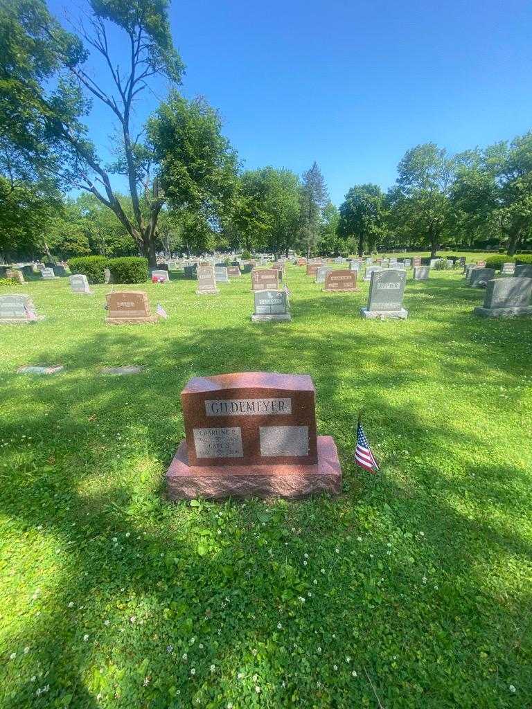 Carl S. Gildemeyer's grave. Photo 2