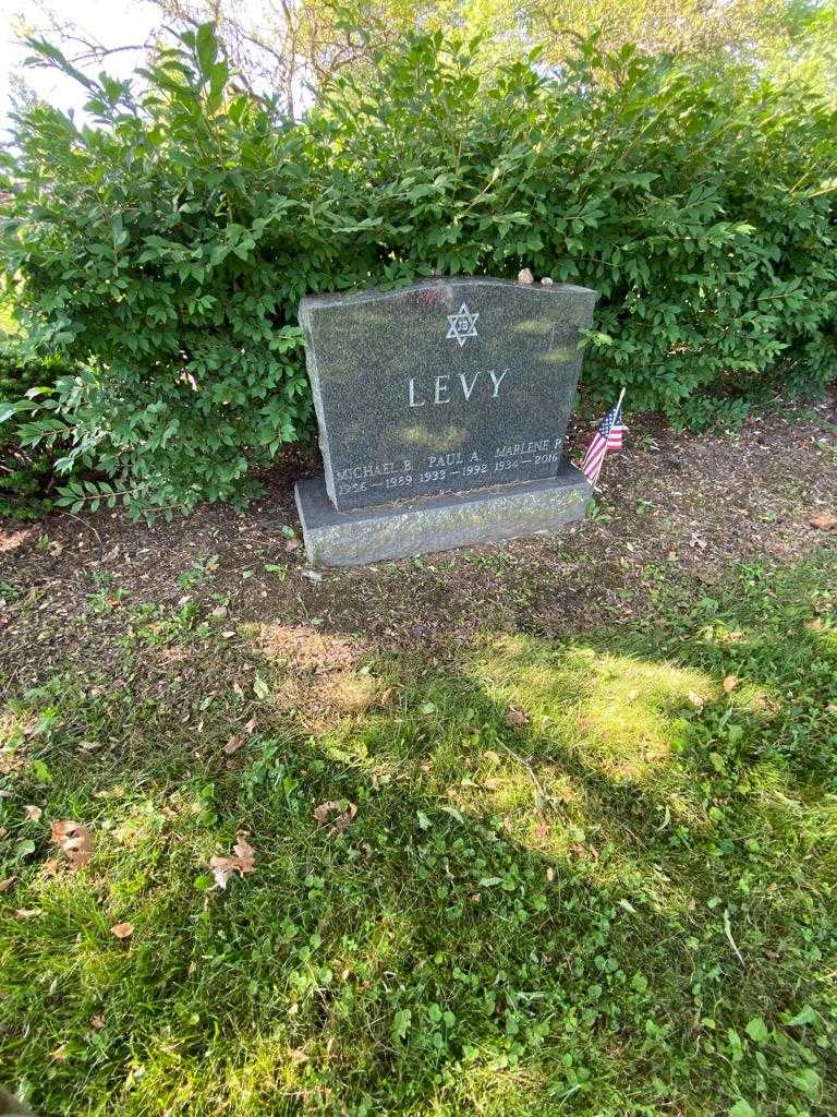 Michael B. Levy's grave. Photo 1