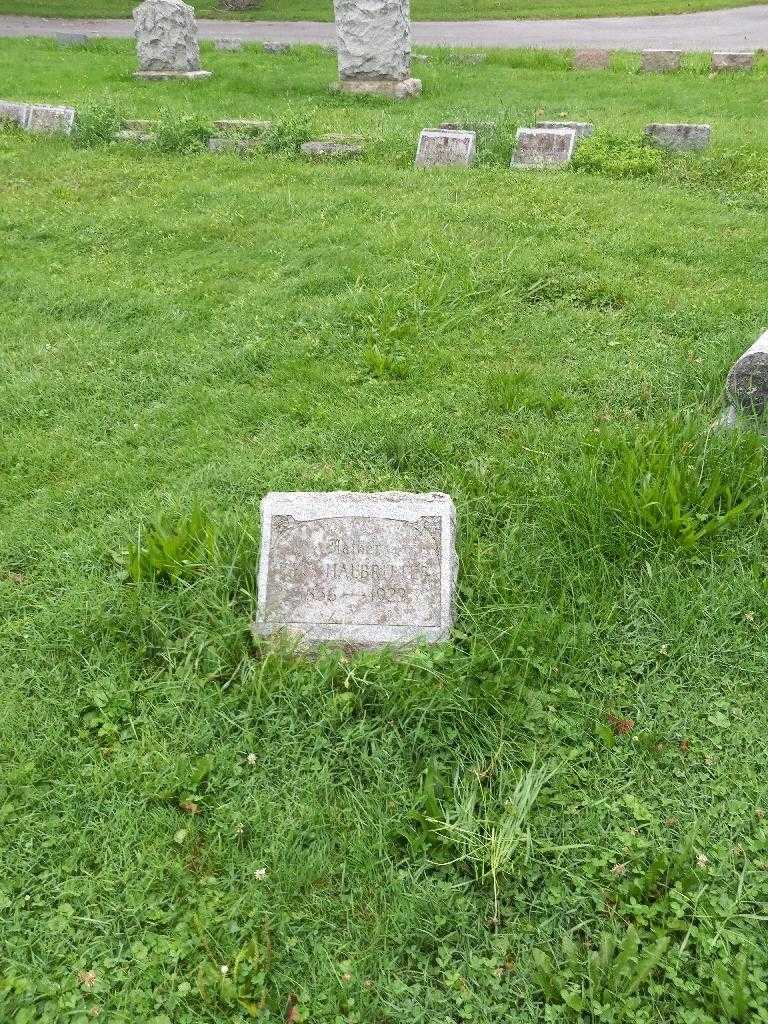 George Halbritter's grave. Photo 3