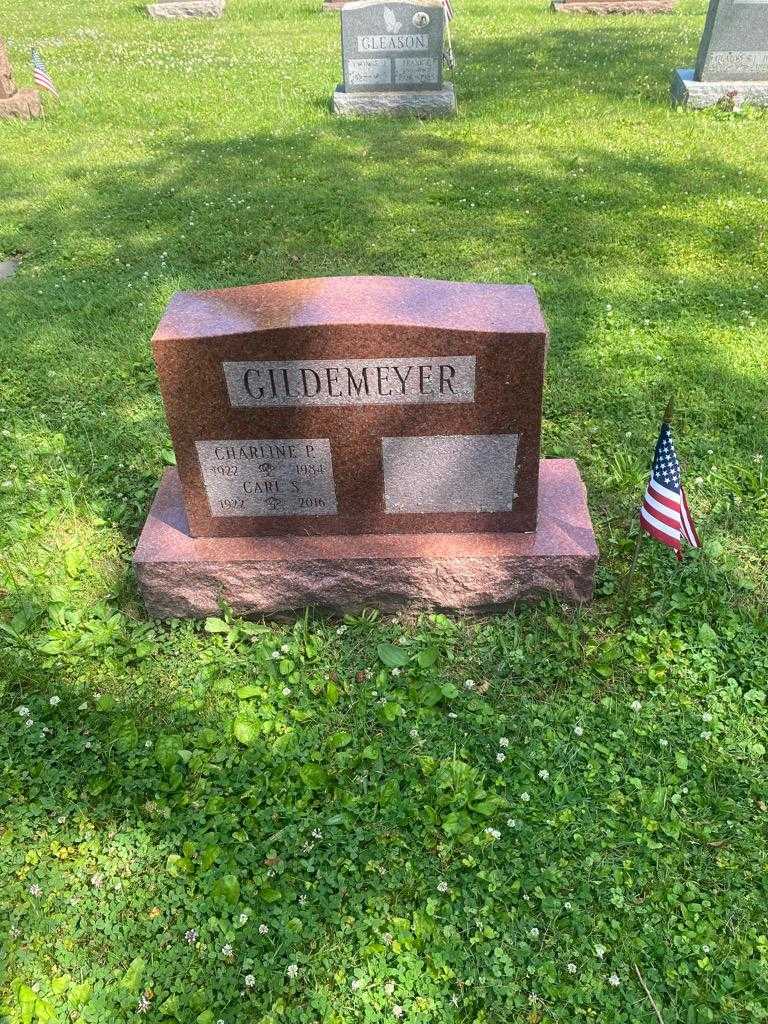 Carl S. Gildemeyer's grave. Photo 3