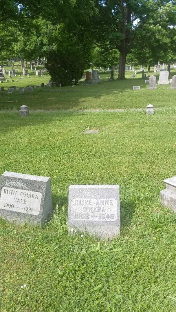 Olive Anne O'Hara's grave. Photo 2