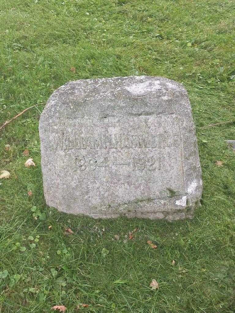 William H. Hammerle's grave. Photo 2