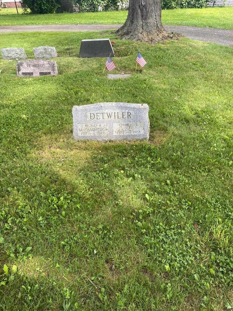 Charles K. Detwiler's grave. Photo 2