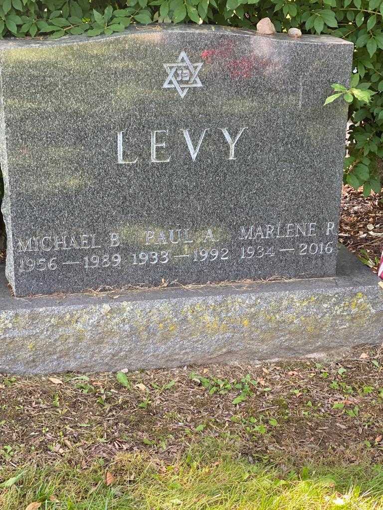 Michael B. Levy's grave. Photo 3