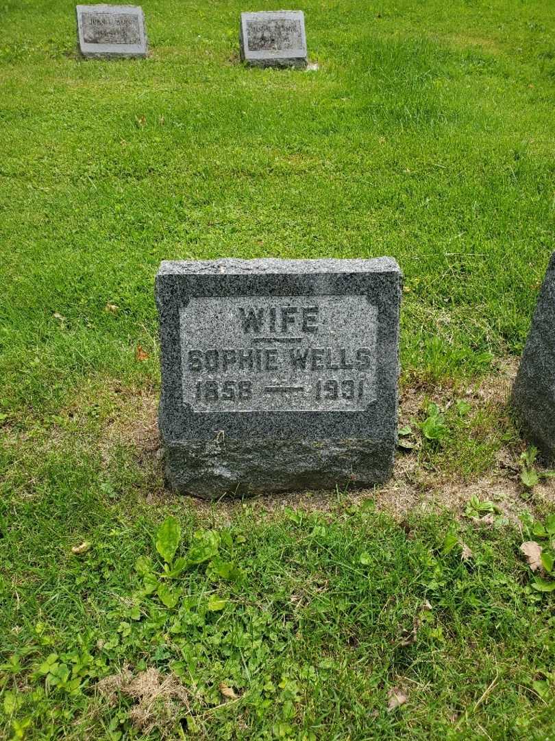 Sophie Wells's grave. Photo 3