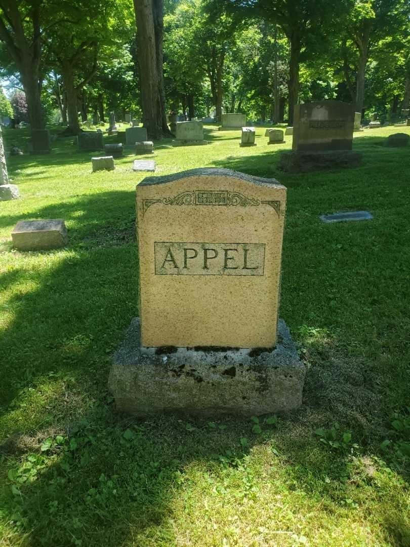 Agnes Appel's grave. Photo 4