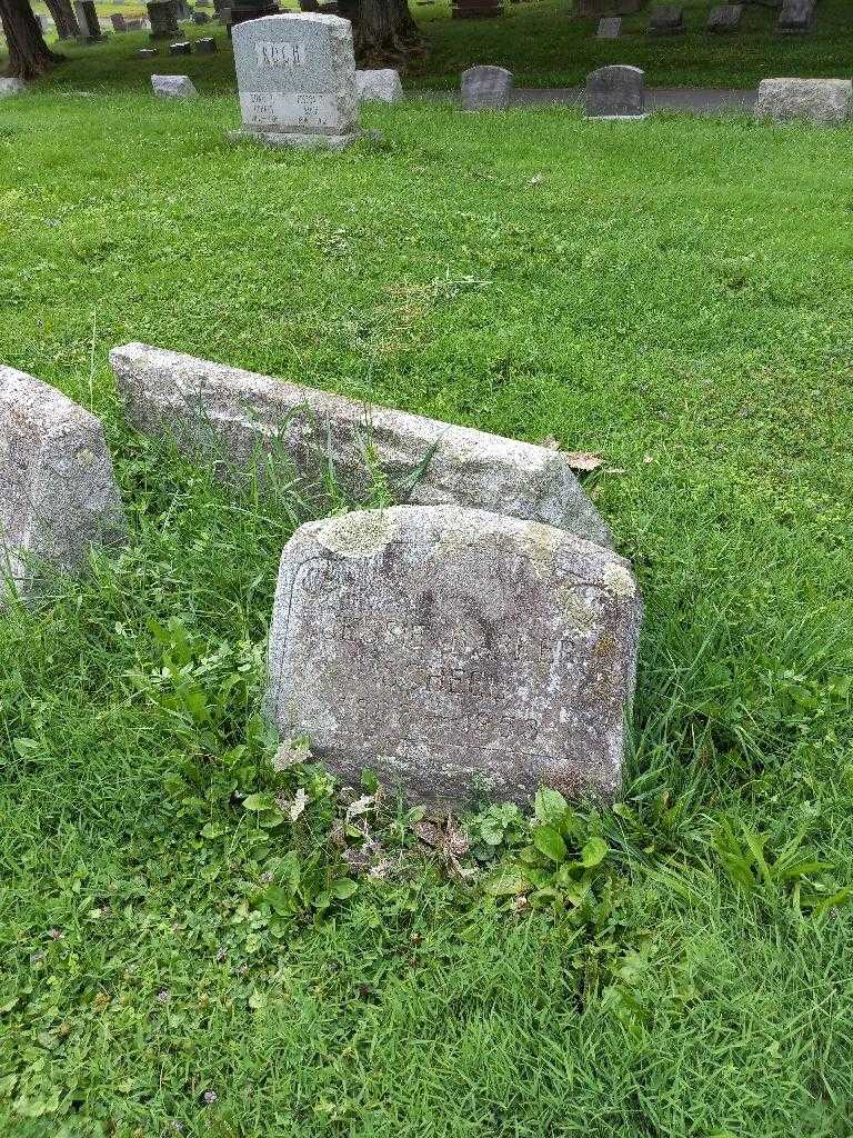 Jessie Barker Scheel's grave. Photo 3