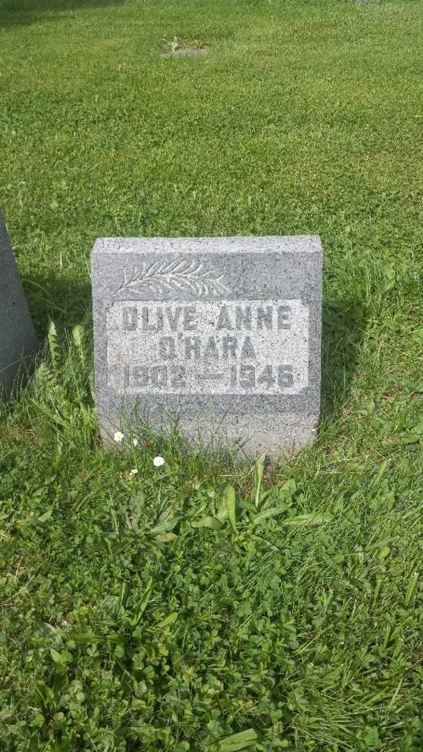 Olive Anne O'Hara's grave. Photo 3