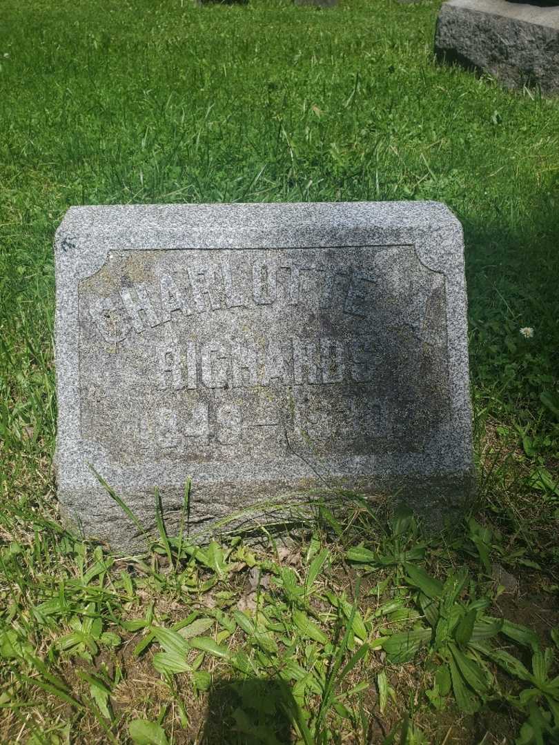 Charlotte A. Richards's grave. Photo 4