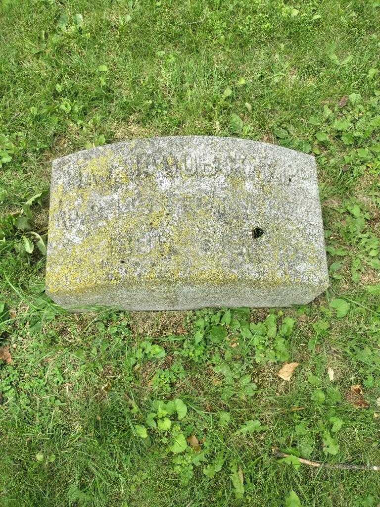 Jacob Knapp's grave. Photo 2