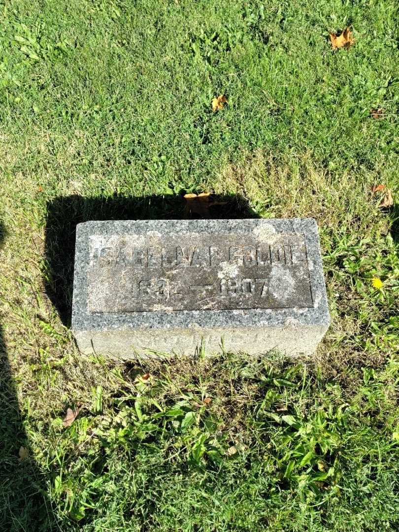 Isabella P. Goldie's grave. Photo 2